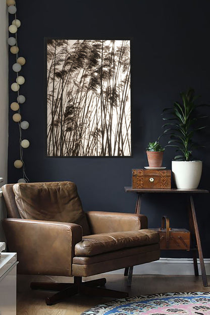 Studio Nahili -  Grasses In The Golden Sunset