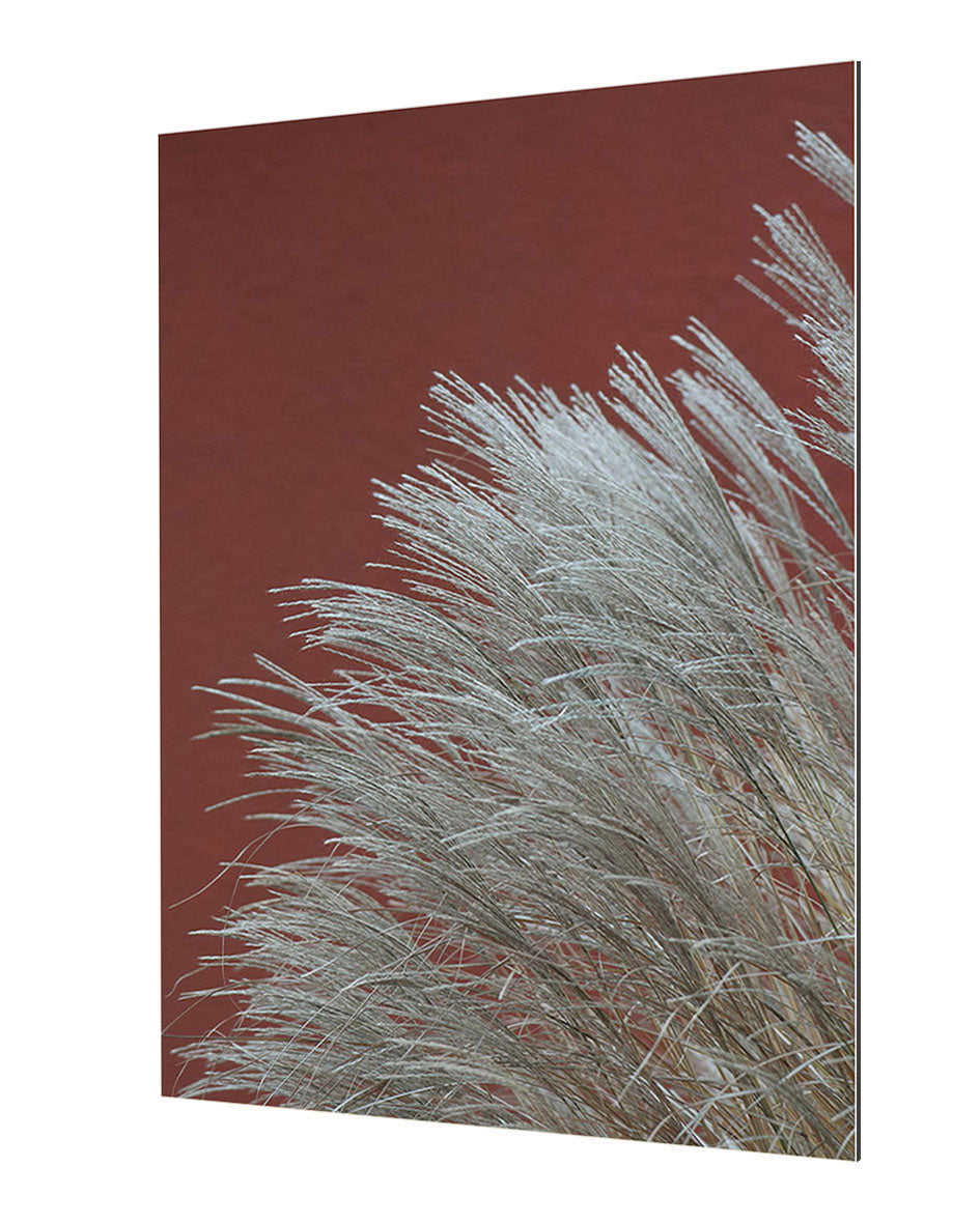 Studio Nahili -  Grasses In The Wind Terracotta