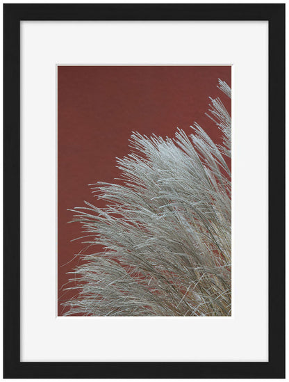 Studio Nahili -  Grasses In The Wind Terracotta