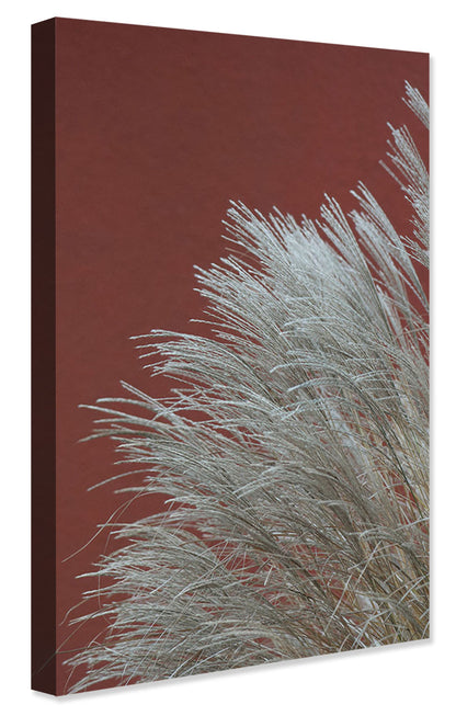 Studio Nahili -  Grasses In The Wind Terracotta