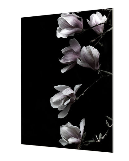 Studio Nahili -  Magnolia On Black