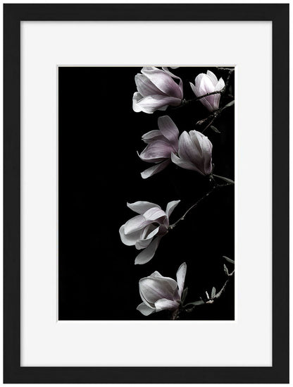 Studio Nahili -  Magnolia On Black