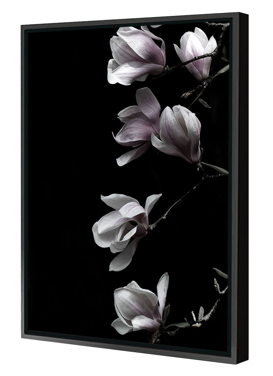 Studio Nahili -  Magnolia On Black