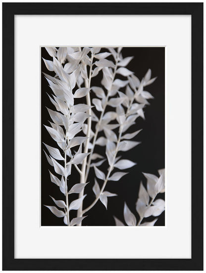 Studio Nahili -  Minimal Black and White Branch
