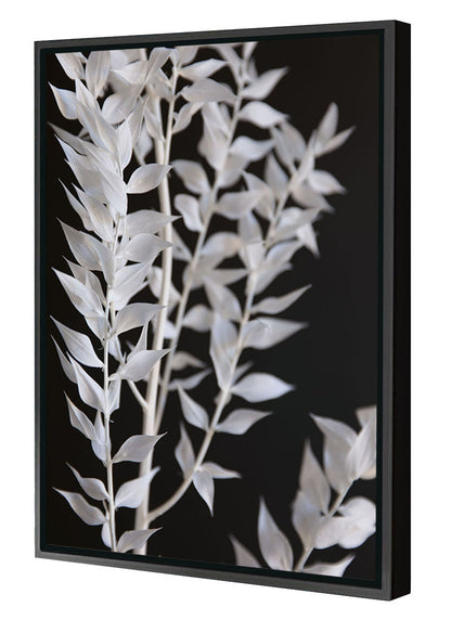 Studio Nahili -  Minimal Black and White Branch