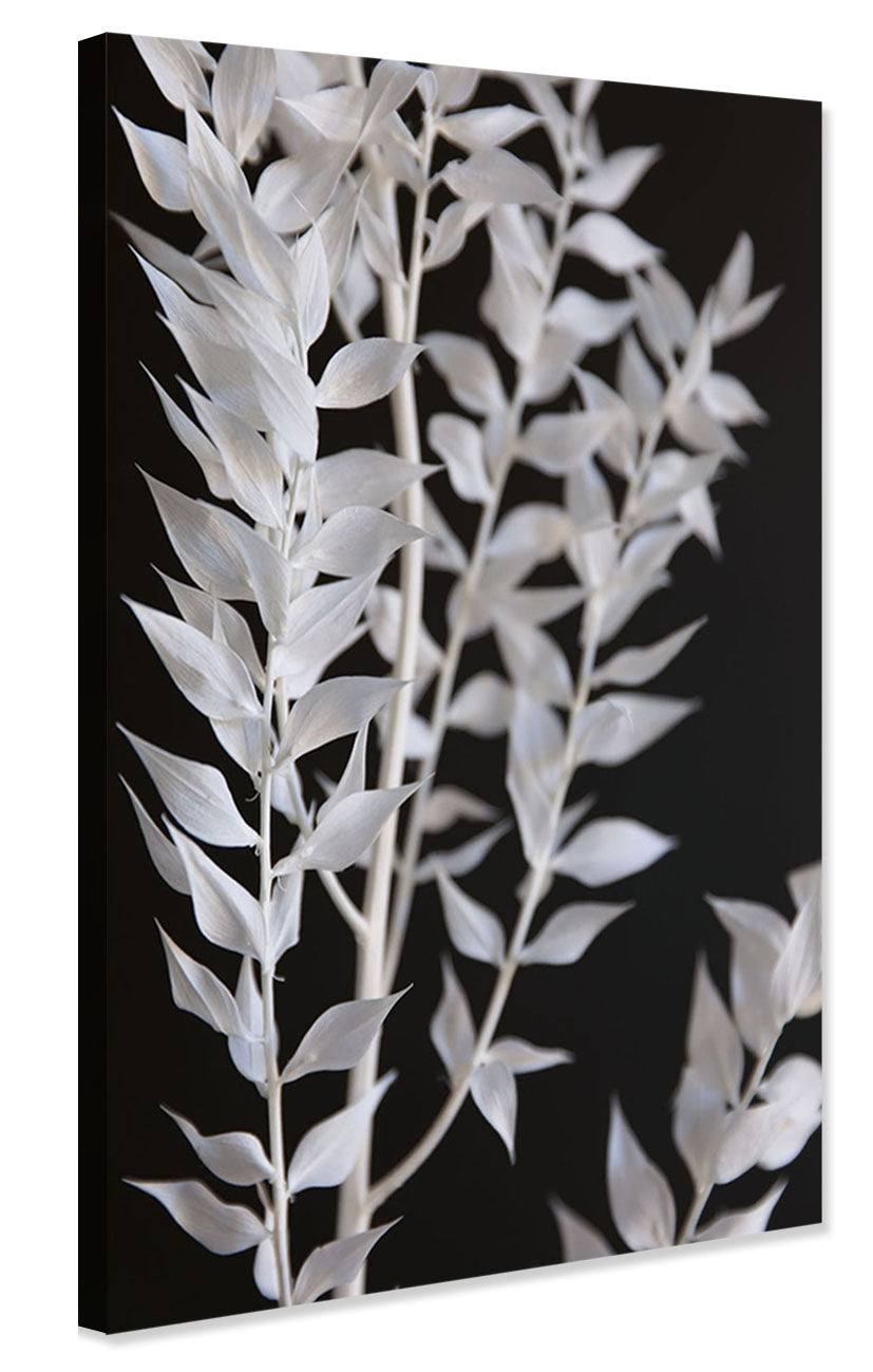 Studio Nahili -  Minimal Black and White Branch