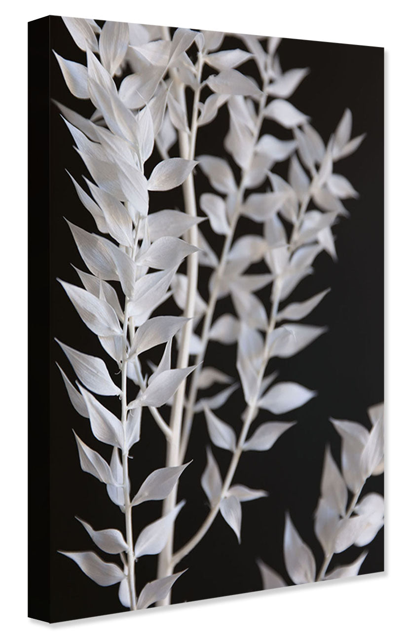 Studio Nahili -  Minimal Black and White Branch