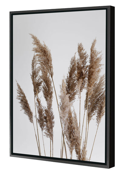 Studio Nahili -  Pampas Reed In The Wind