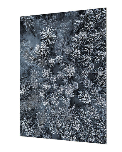 Studio Nahili -  Path Through The Winter Forest