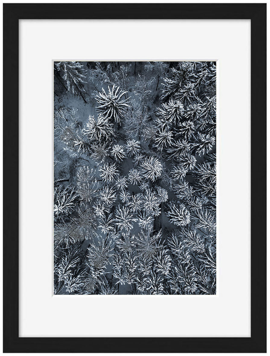 Studio Nahili -  Path Through The Winter Forest