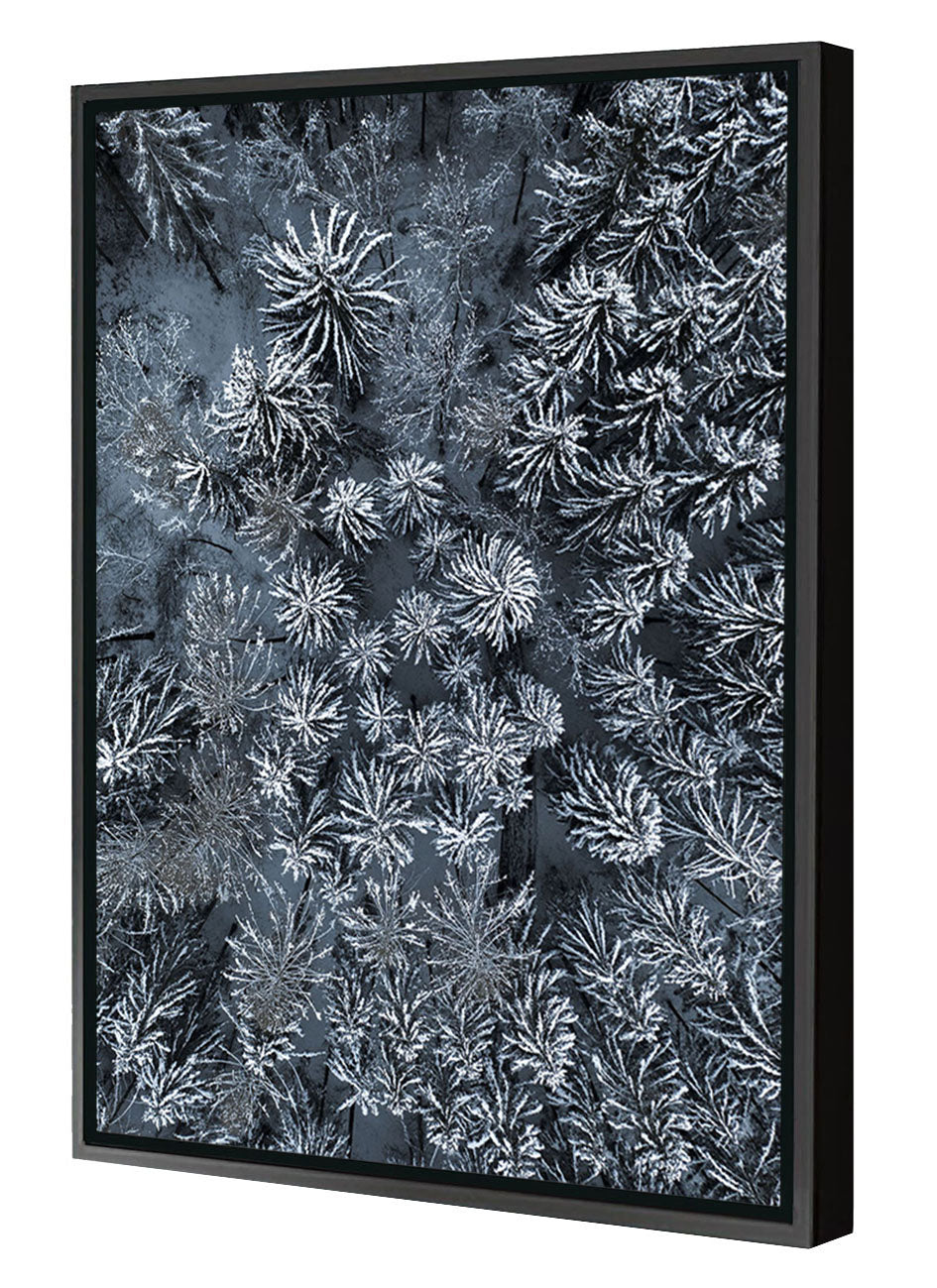 Studio Nahili -  Path Through The Winter Forest