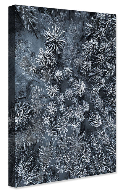 Studio Nahili -  Path Through The Winter Forest