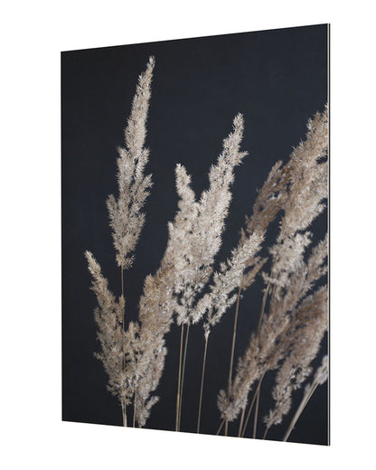 Studio Nahili -  Perfect Pampas In The Dark