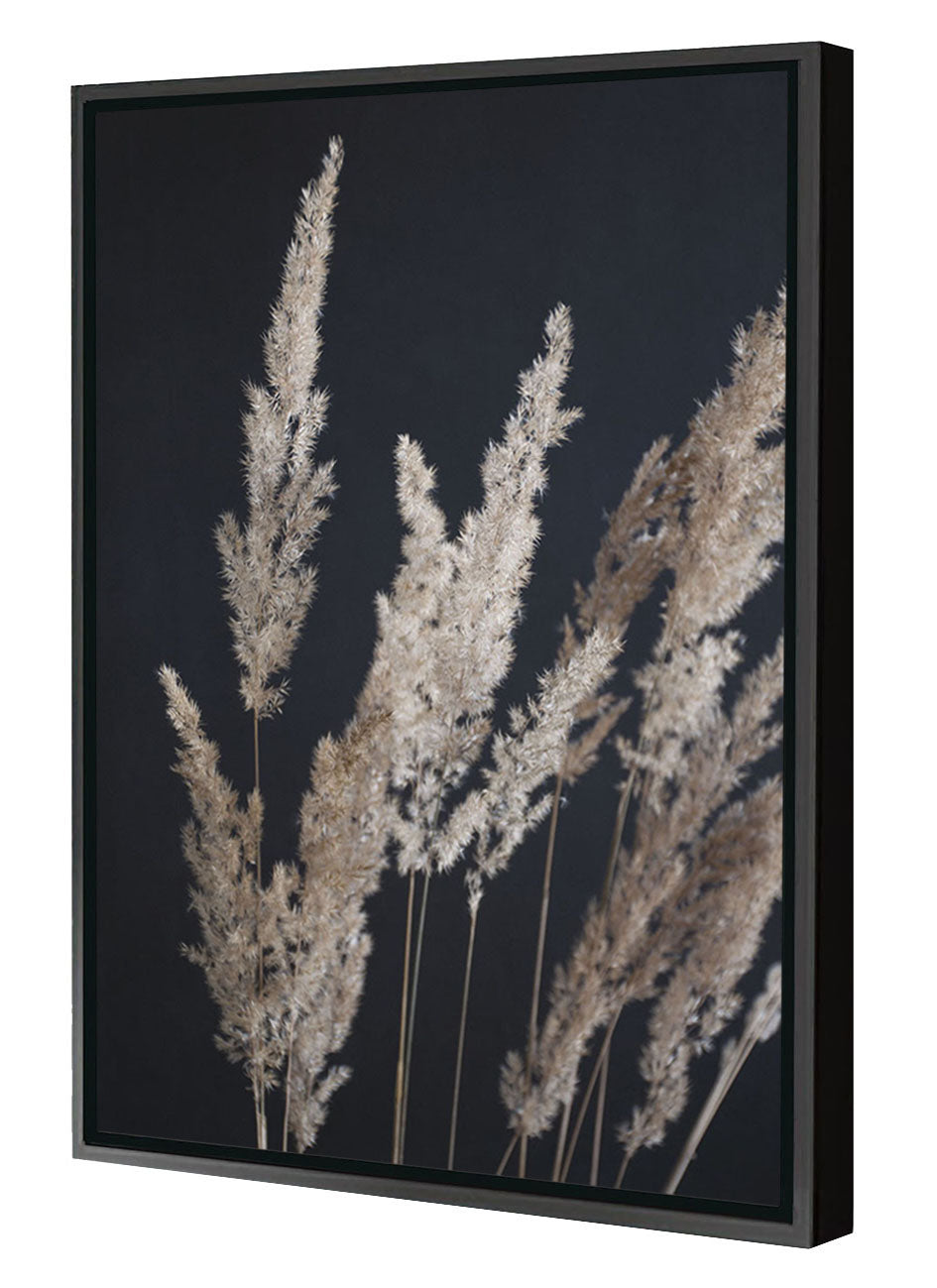 Studio Nahili -  Perfect Pampas In The Dark