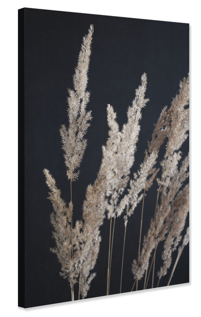 Studio Nahili -  Perfect Pampas In The Dark