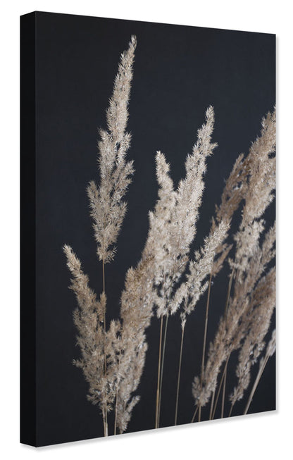 Studio Nahili -  Perfect Pampas In The Dark