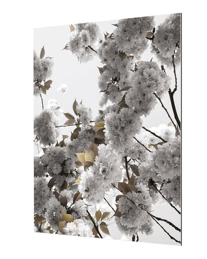 Studio Nahili -  White Spring Blossoms