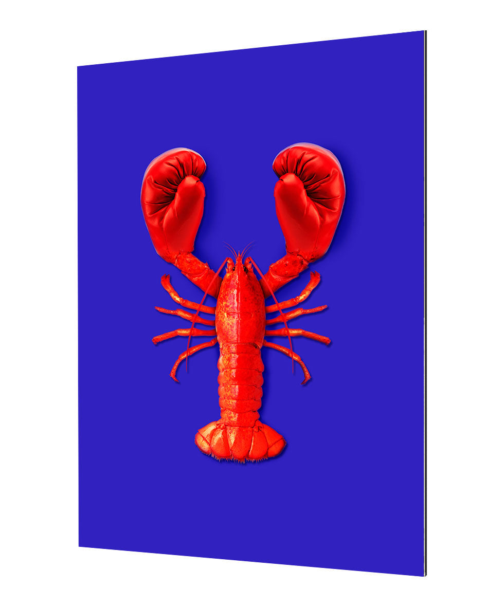 Lobster Fight-artem-pozdniakov, print-Alu Dibond 3mm-40 x 60 cm-BLUE SHAKER