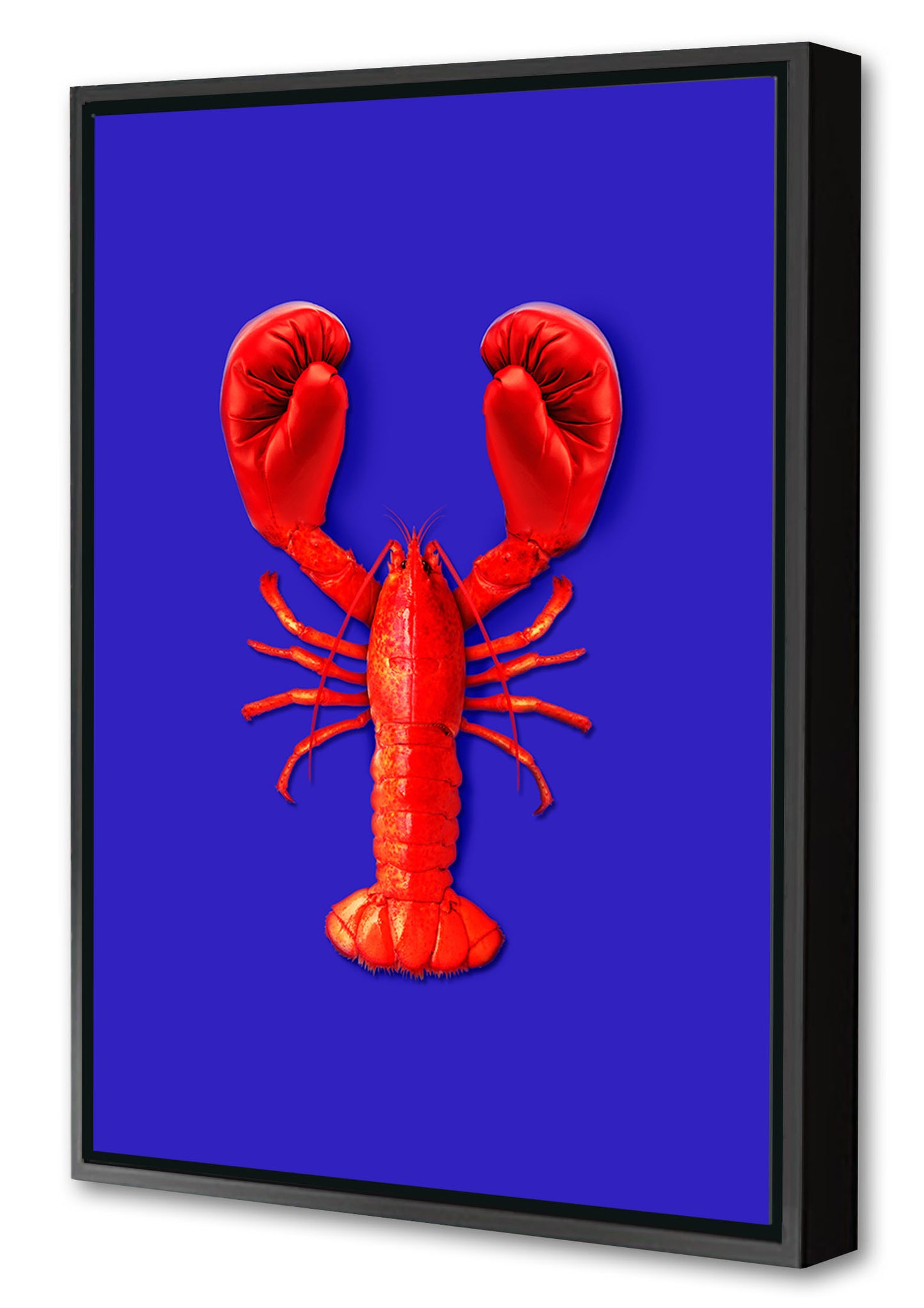 Lobster Fight-artem-pozdniakov, print-Canvas Print with Box Frame-40 x 60 cm-BLUE SHAKER