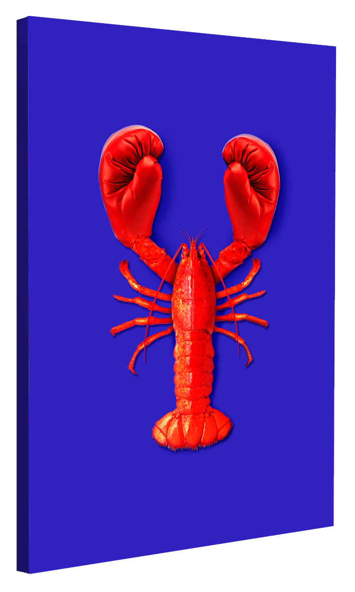 Lobster Fight-artem-pozdniakov, print-Canvas Print - 20 mm Frame-40 x 60 cm-BLUE SHAKER