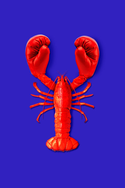 Lobster Fight-artem-pozdniakov, print-Print-30 x 40 cm-BLUE SHAKER