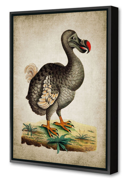 Dodo-birds, print-Canvas Print with Box Frame-40 x 60 cm-BLUE SHAKER