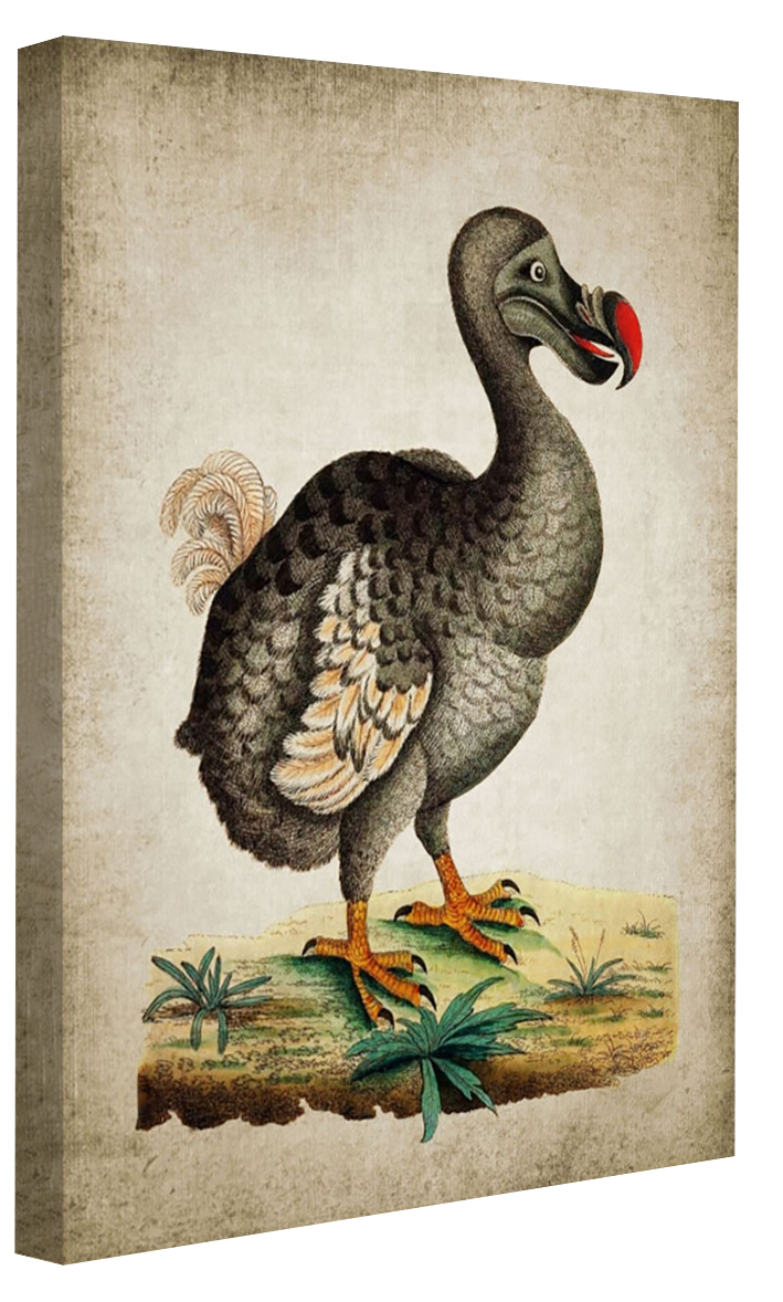Dodo-birds, print-Canvas Print - 20 mm Frame-50 x 75 cm-BLUE SHAKER