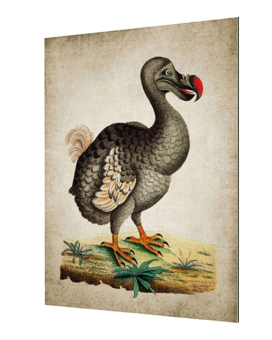 Dodo-birds, print-Alu Dibond 3mm-40 x 60 cm-BLUE SHAKER