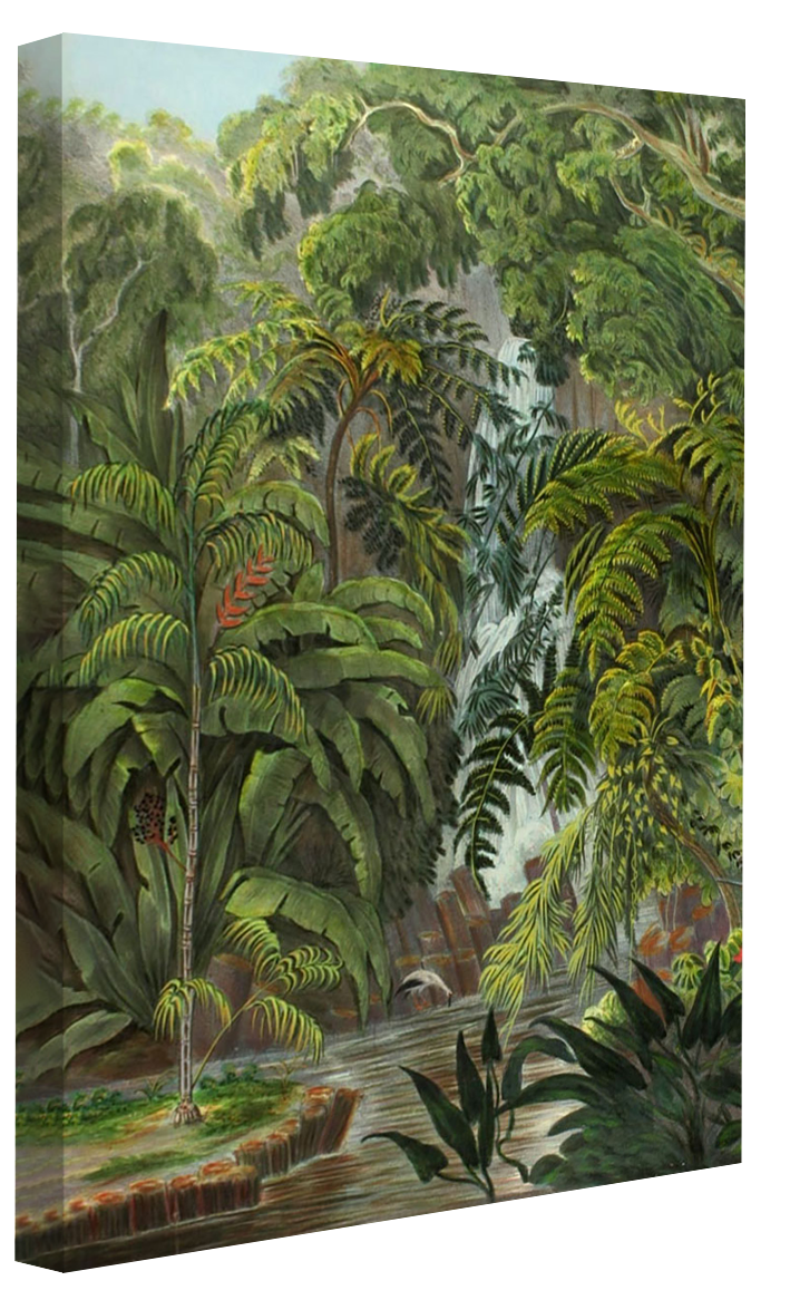 Jungle 1-botanical, print-Canvas Print - 20 mm Frame-50 x 75 cm-BLUE SHAKER