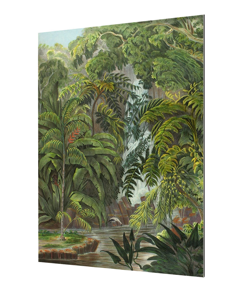Jungle 1-botanical, print-Alu Dibond 3mm-40 x 60 cm-BLUE SHAKER