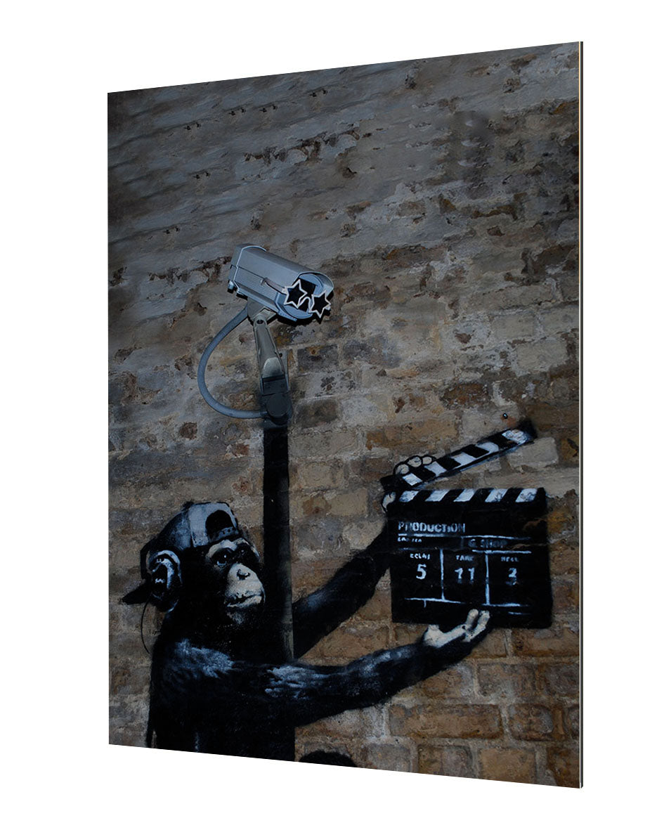 CCTV Monkey-banksy, print-Alu Dibond 3mm-40 x 60 cm-BLUE SHAKER