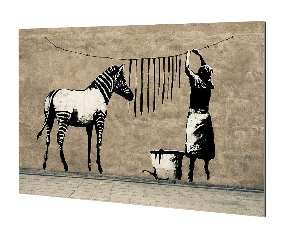 Washing Zebra-banksy, print-Alu Dibond 3mm-40 x 60 cm-BLUE SHAKER