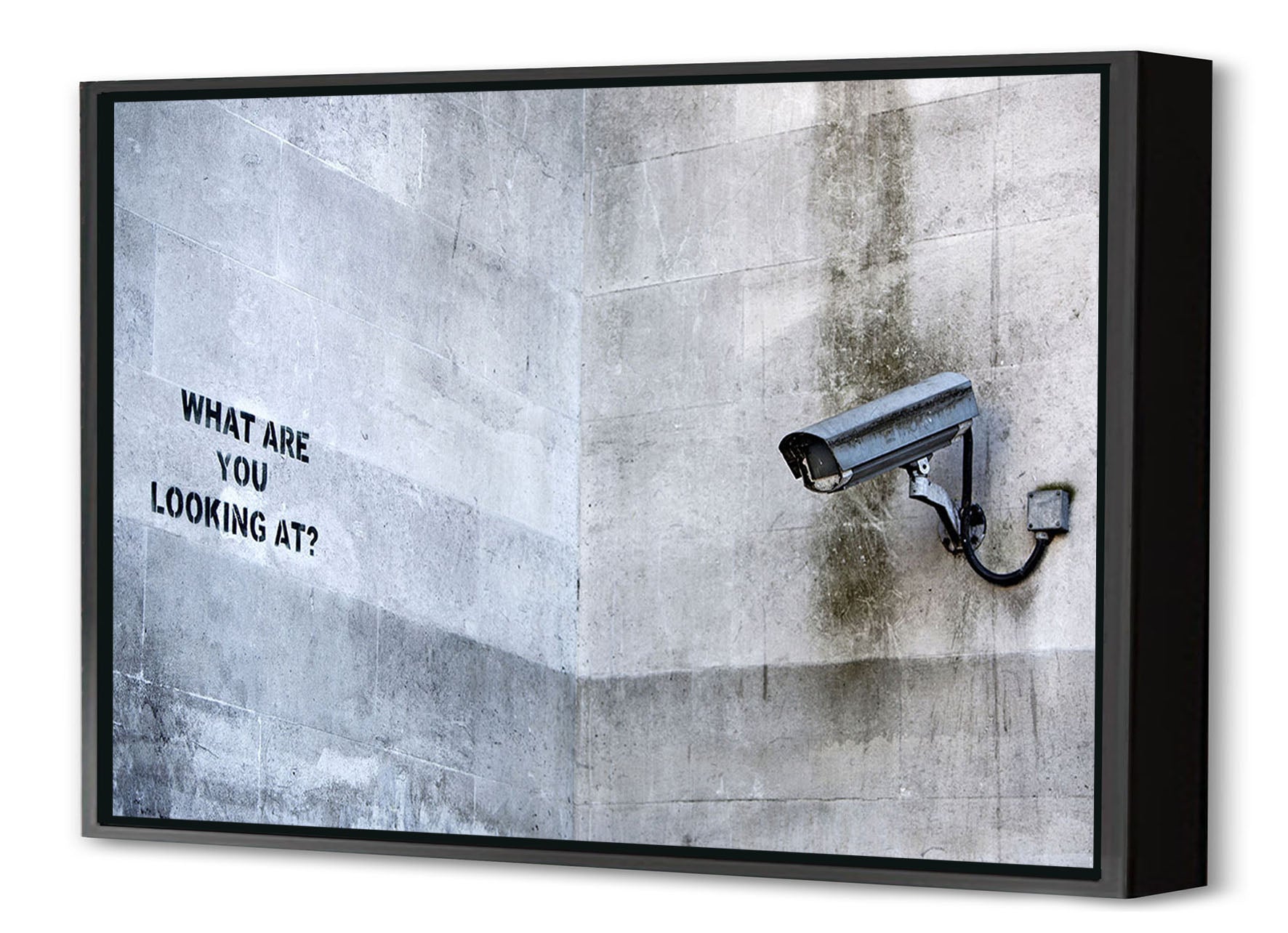 What are you looking at-banksy, print-Canvas Print with Box Frame-40 x 60 cm-BLUE SHAKER