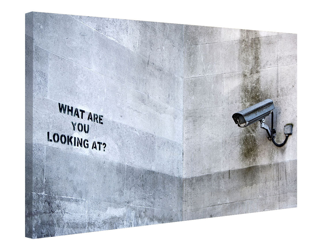 What are you looking at-banksy, print-Canvas Print - 20 mm Frame-50 x 75 cm-BLUE SHAKER