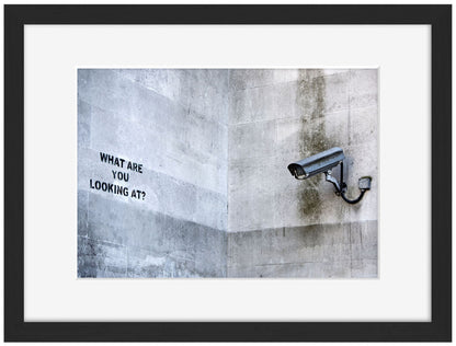 What are you looking at-banksy, print-Framed Print-30 x 40 cm-BLUE SHAKER