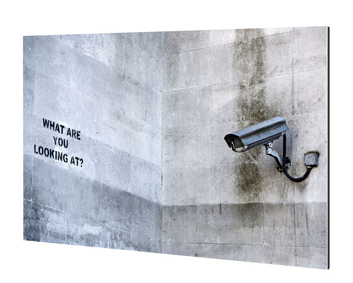 What are you looking at-banksy, print-Alu Dibond 3mm-40 x 60 cm-BLUE SHAKER