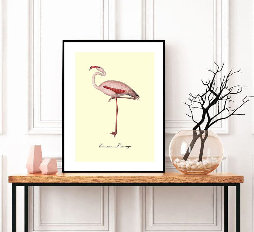 Common Flamingo - Blue Shaker - Poster Affiche -