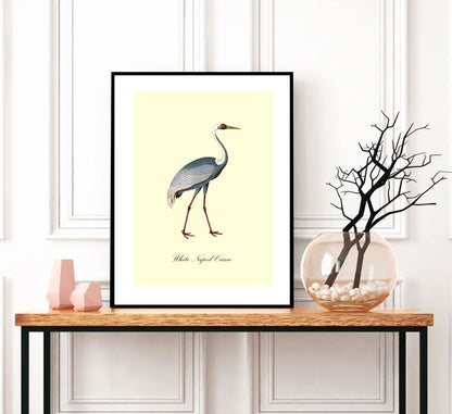 White-Naped Crane-birds, print-BLUE SHAKER