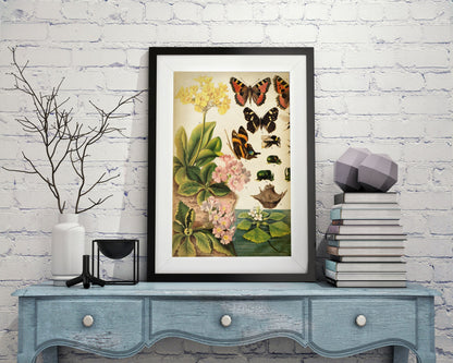Butterflies Darwinism 1-botanical, print-BLUE SHAKER