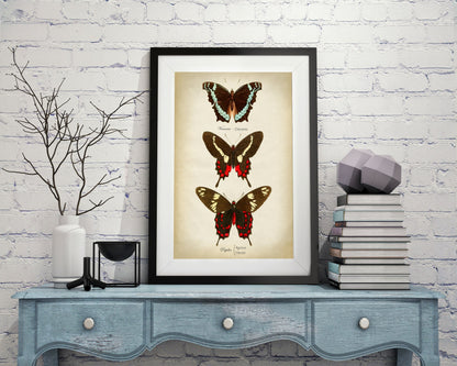 Butterflies Red and Brown-botanical, print-BLUE SHAKER