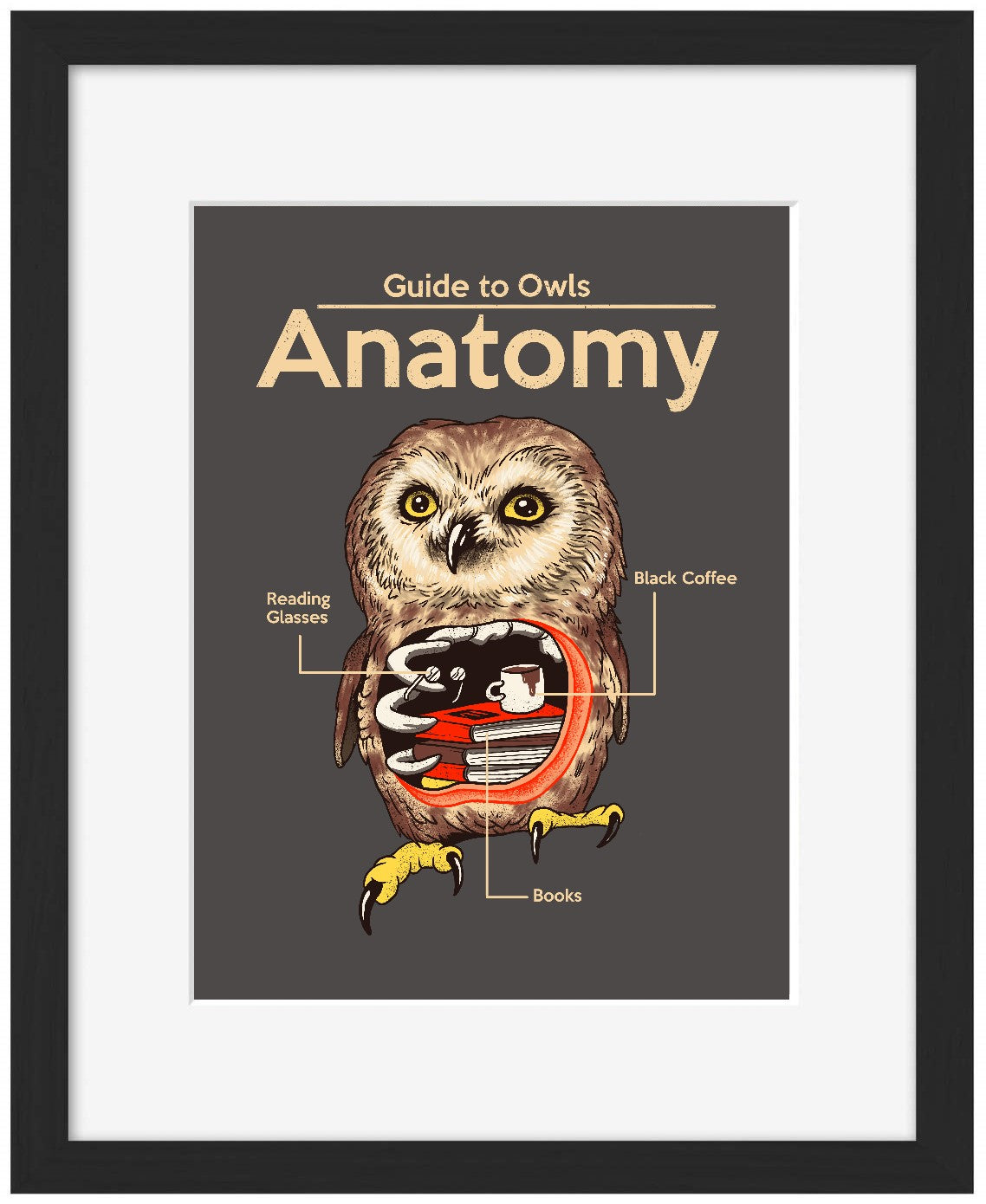 Anatomy of Owls-print, vincent-trinidad-Framed Print-30 x 40 cm-BLUE SHAKER