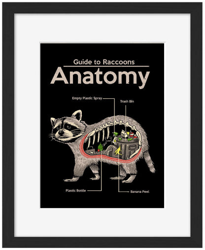 Anatomy of a Raccoon-print, vincent-trinidad-Framed Print-30 x 40 cm-BLUE SHAKER