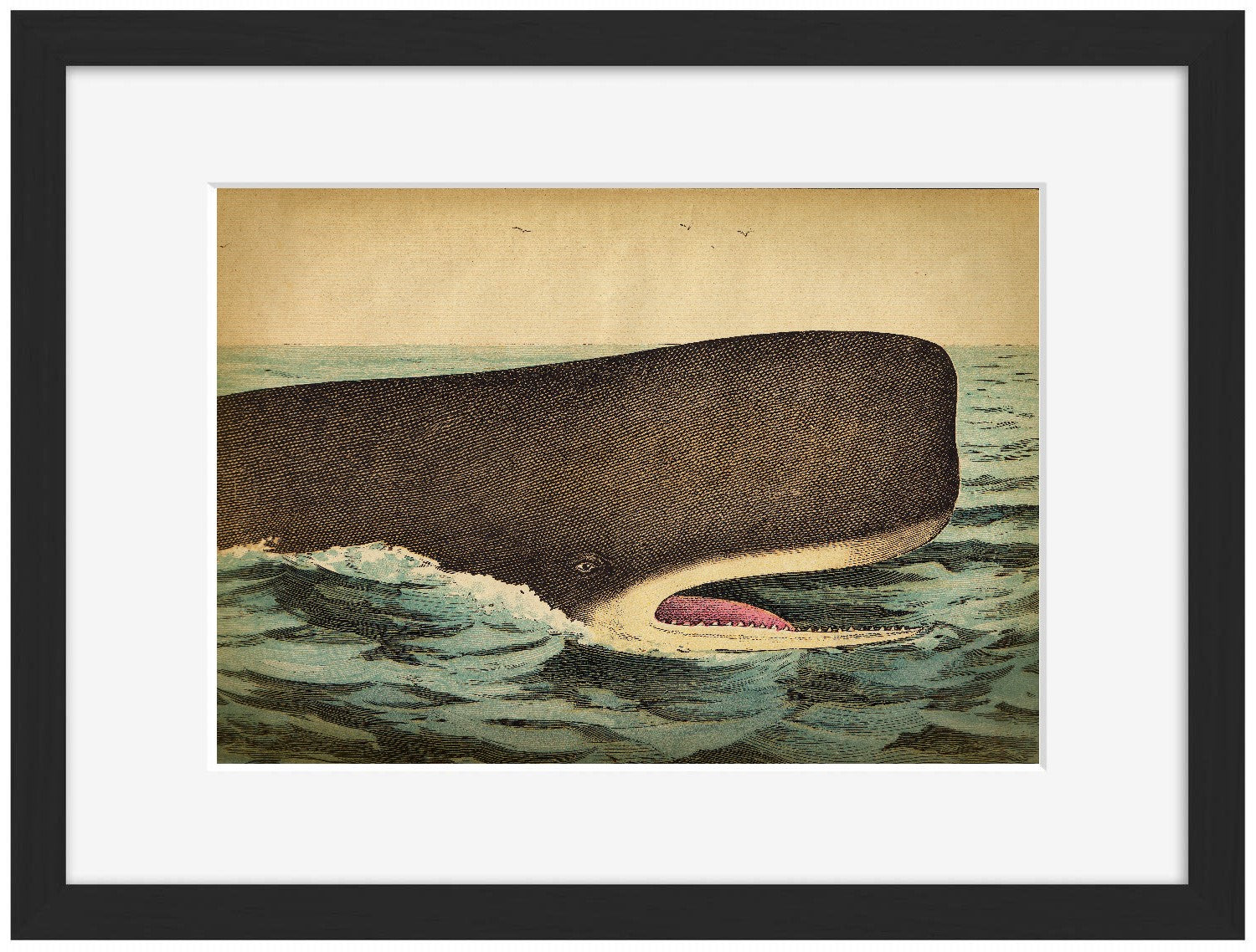 Whale Head-fish, print-Framed Print-30 x 40 cm-BLUE SHAKER