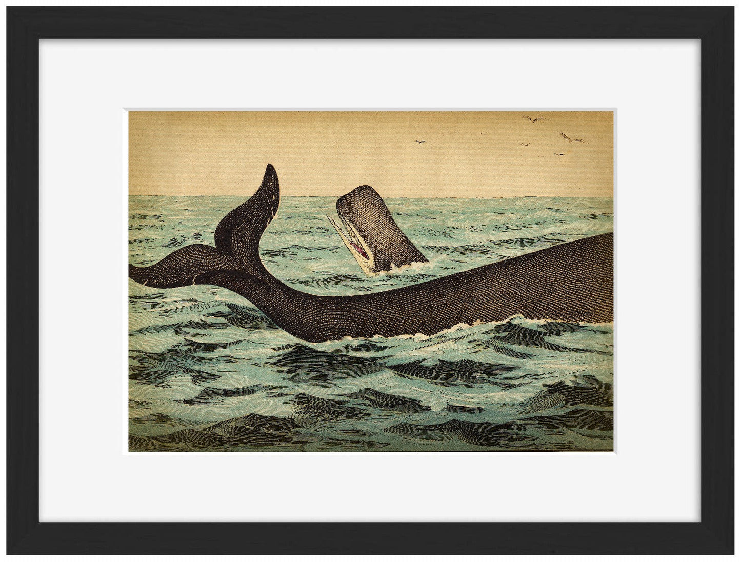 Whale Tail-fish, print-Framed Print-30 x 40 cm-BLUE SHAKER