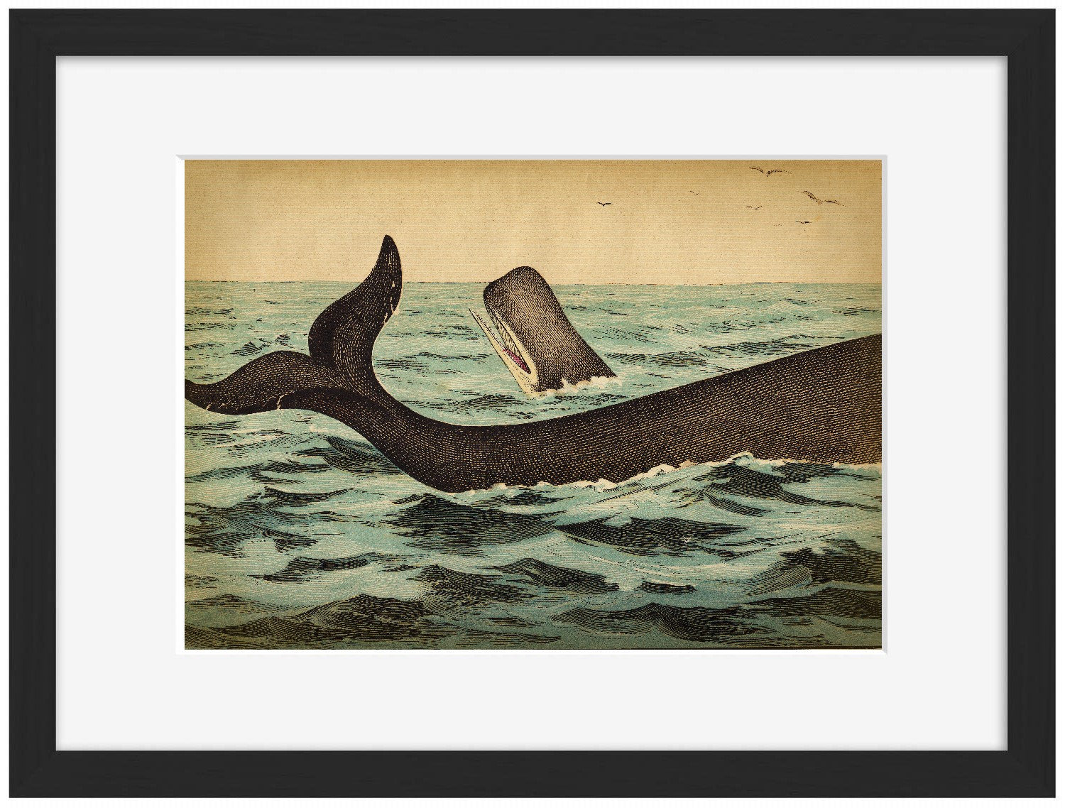 Whale Tail-fish, print-Framed Print-30 x 40 cm-BLUE SHAKER