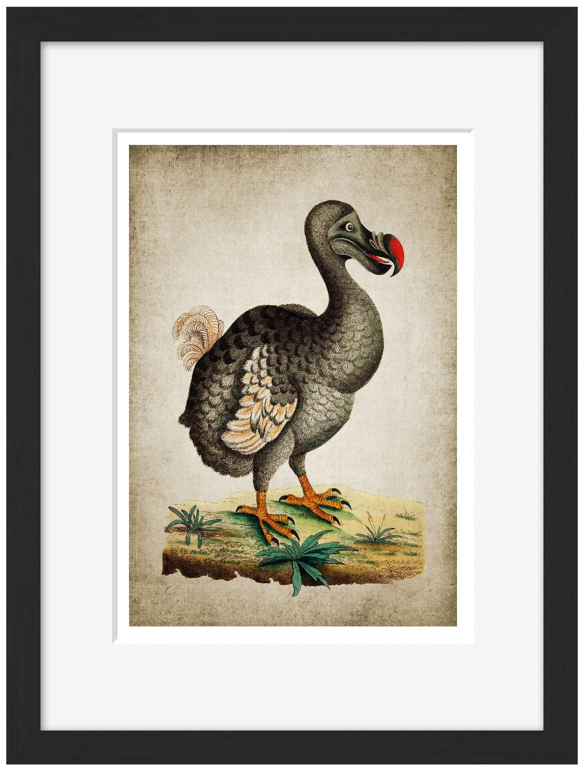 Dodo-birds, print-Framed Print-30 x 40 cm-BLUE SHAKER