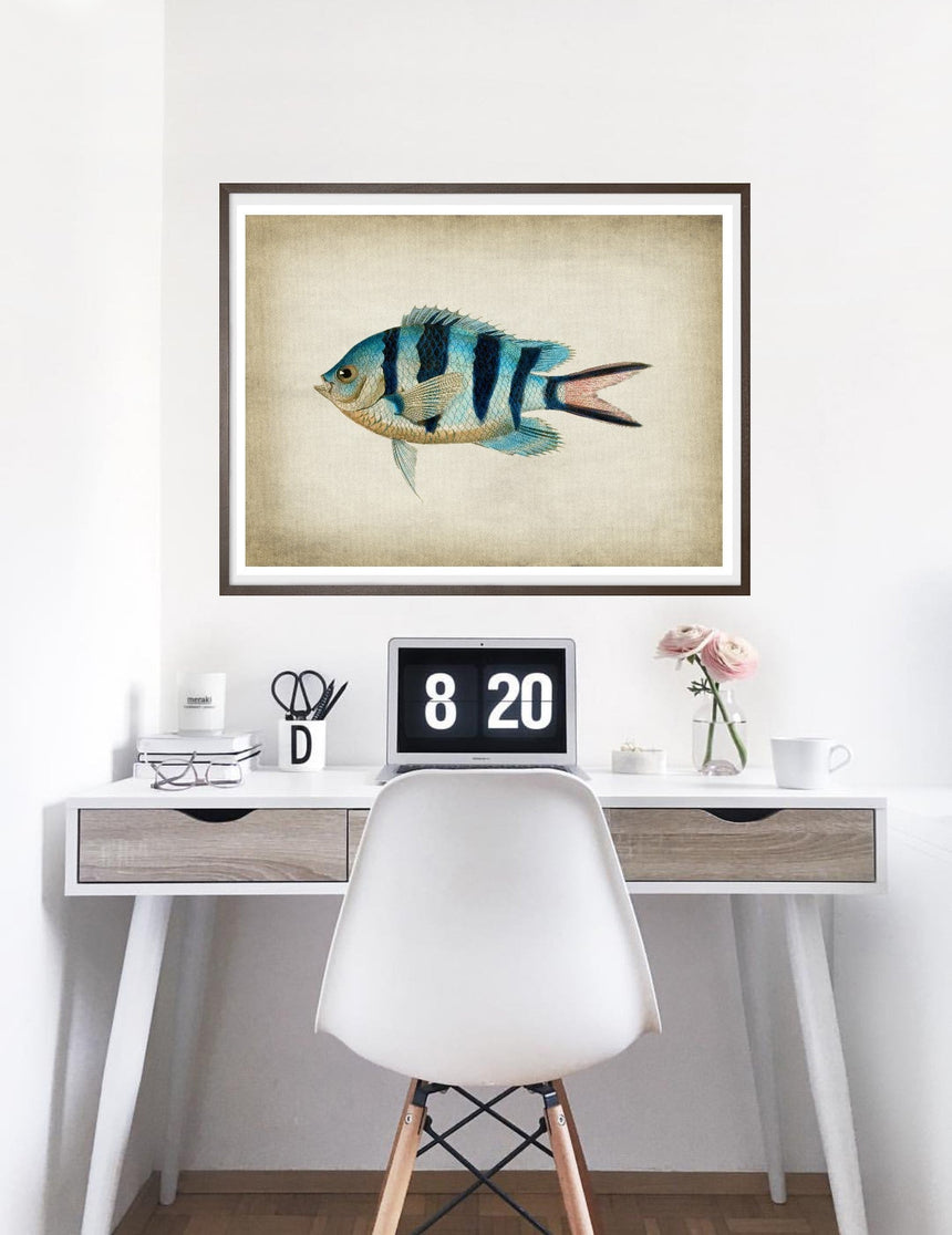 Fish 3 - Blue Shaker - Poster Affiche -
