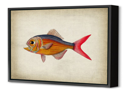Fish 5-fish, print-Canvas Print with Box Frame-40 x 60 cm-BLUE SHAKER