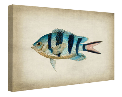 Fish 3-fish, print-Canvas Print - 20 mm Frame-50 x 75 cm-BLUE SHAKER