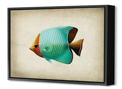 Fish 8-fish, print-Canvas Print with Box Frame-40 x 60 cm-BLUE SHAKER